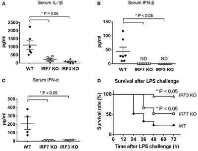 IRF-7 Mediates Type I IFN Responses in Endotoxin-Challenged Mice